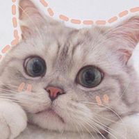 suara asli - gemini222_