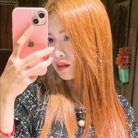 hong232537
