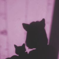 الصوت الأصلي