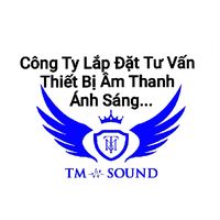 nhạc nền - Công Tài Victory