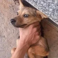 phép màu