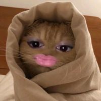 suara asli