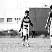 mshehab_1