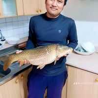 เสียงต้นฉบับ - บ่าวแดนรักเดียวใจเดียวเด้อนคร
