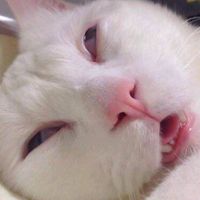 편집 참고 하실거면 참테 남겨주세요