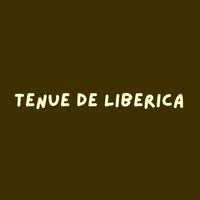 stylewithliberica