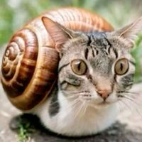 оригінальний звук