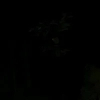 original sound - _dgkhoa_