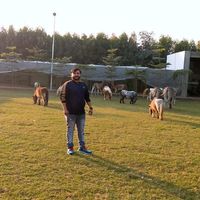 usmanjutt46