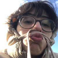 beyziaveyaratiklarixd