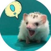 オリジナル楽曲 - はりーちゃんねる