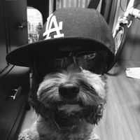 lichan261722