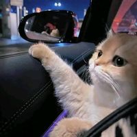 原聲 - 晚風Music.𝄞