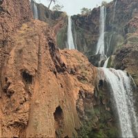 shama.elqassi