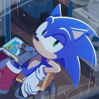 sonicelerizoazulobvio