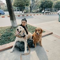 petslover197golden
