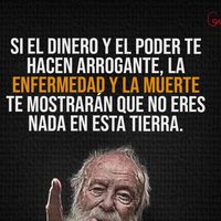 liliflores2079shelito