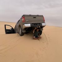 الصوت الأصلي