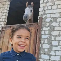 original sound - yuseftamer56