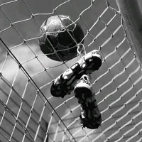 original sound - sambarnoldejr66