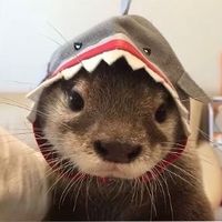 barneyiscutee