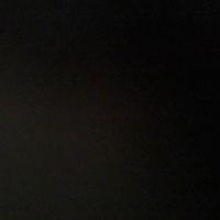 saru__01
