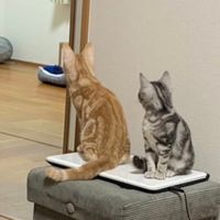 お尻に近づくとくさい