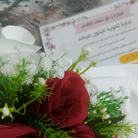 ol_a49