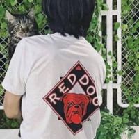 nocomment_nentcombo225