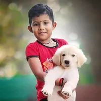 original sound - kingvino67