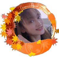 ippochi11.26