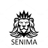 senimainvestingyt