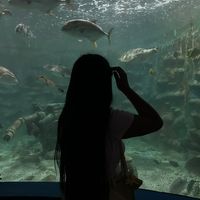 jaqui.com01
