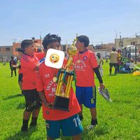 jxl257