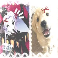 hanae_ockny_13
