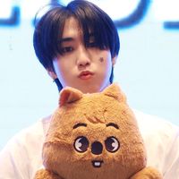 han_skz085