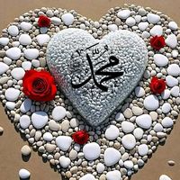 ayesha.khalid295