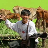 sonkondi