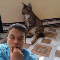 suara asli - ALAN00❾16