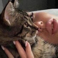 ساعدوني انقضوني مافيه