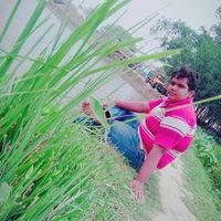 user8178871475821