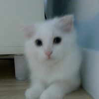 tanya_06231