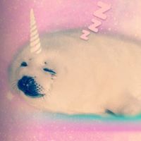 hojichamaxxer