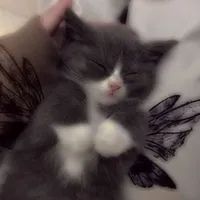 original sound - ilianaa01