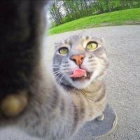 suara asli - GRIPEN 🇮🇩