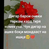 user7351556699237