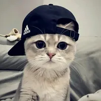 original sound - xavi_kanaeru