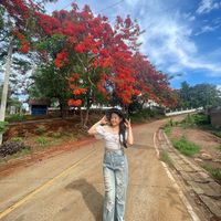เสียงต้นฉบับ - ສູລີ 🥰