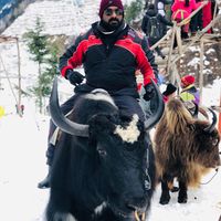 nikhil.1237