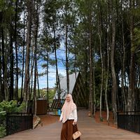 suara asli - vam.zone